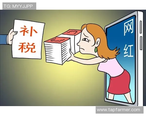 中国足球球星交税金额揭秘 他们的收入与税负有多高