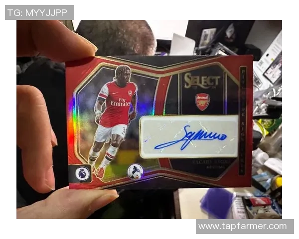 帕尼尼足球球星卡价格实惠 收藏价值逐渐上升值得投资