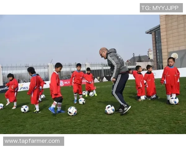 中国球星输出最多的足球学校培养模式与成功之道解析